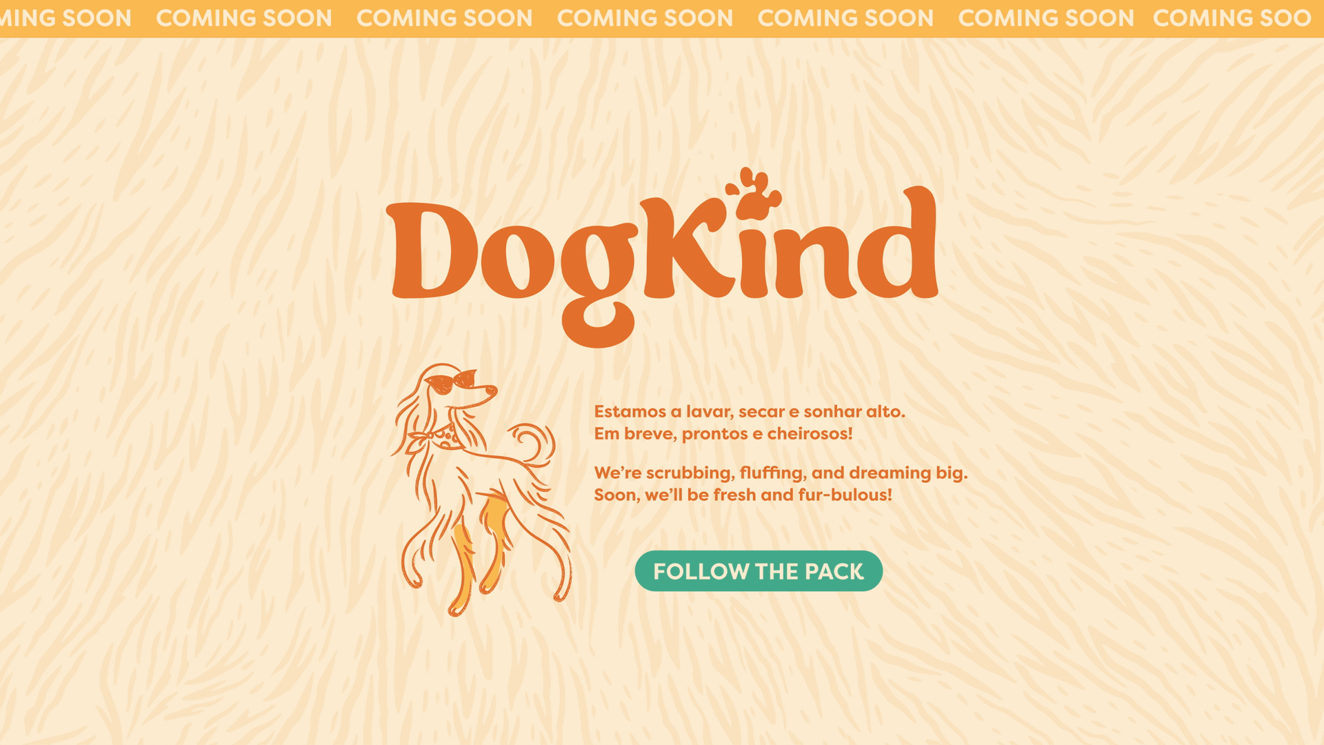 DogKind – Positive Grooming para cães em Vila Nova de Gaia
