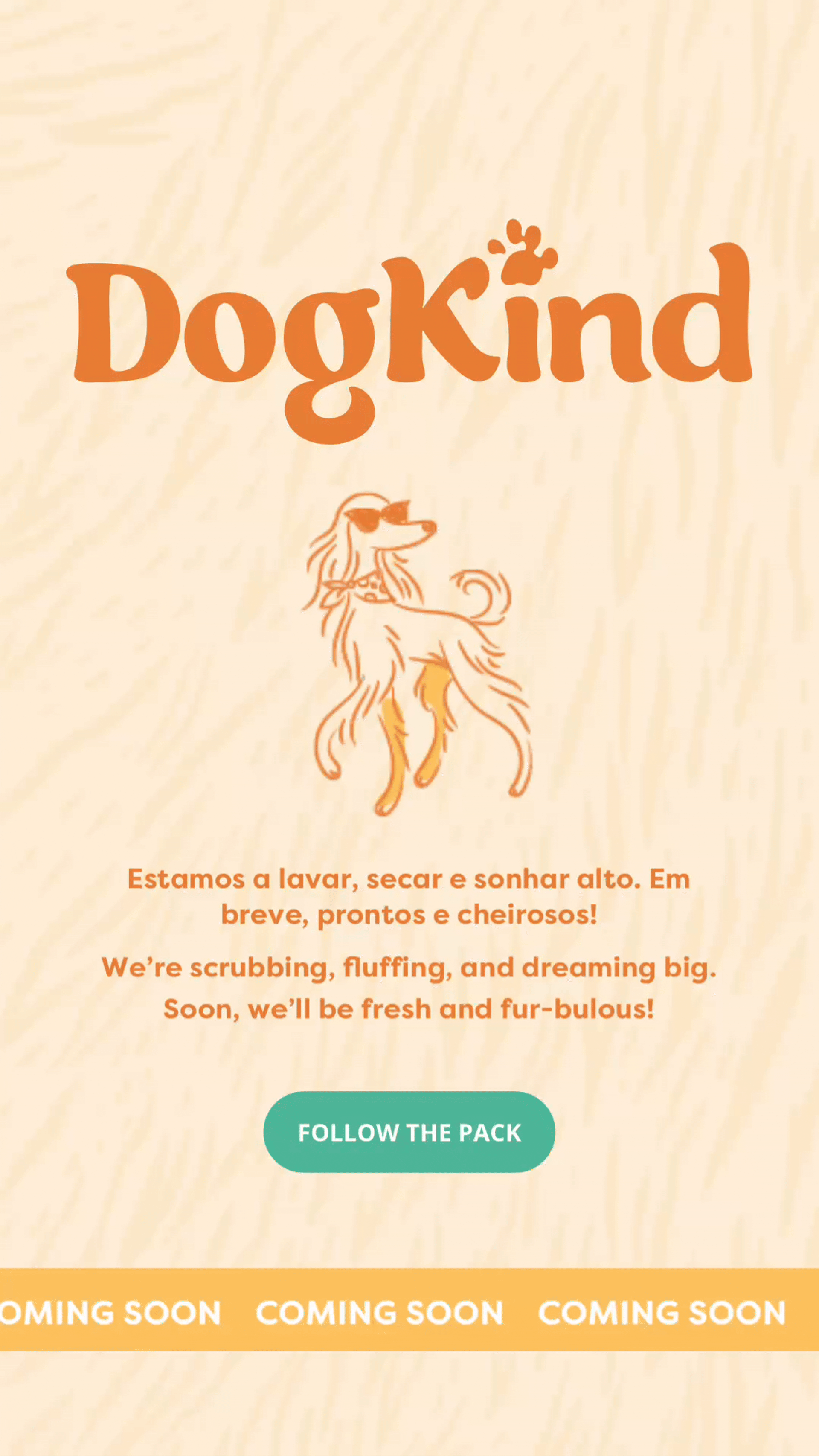 DogKind – Positive Grooming para cães em Vila Nova de Gaia